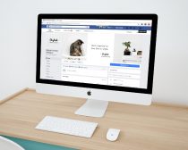 Gestión de Facebook para PYMEs en Marbella